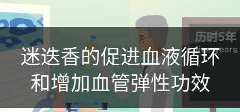 迷迭香的促进血液循环和增加血管弹性功效